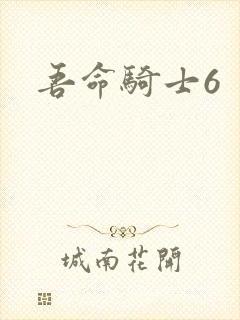 吾命骑士6