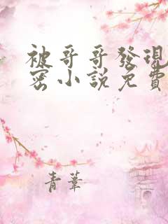 被哥哥发现的秘密小说免费阅读全文