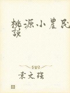 桃源小农民 小说