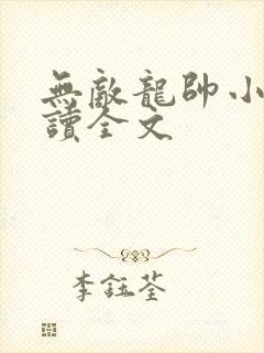 无敌龙帅小说阅读全文