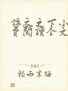 锦衣之下小说免费阅读全文无删减
