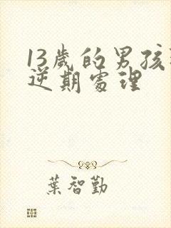13岁的男孩叛逆期处理