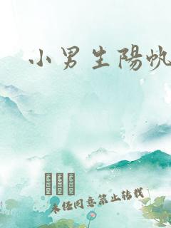 小男生阳帆