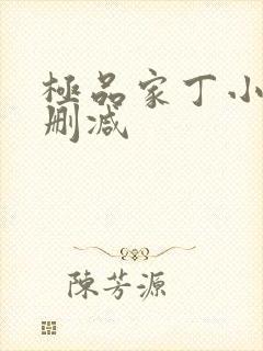极品家丁小说无删减