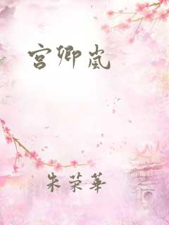 宫卿岚