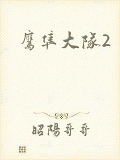 鹰隼大队2