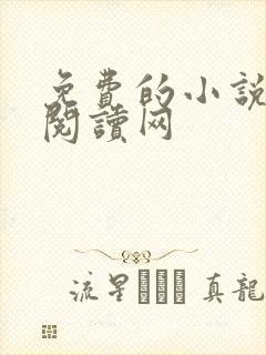 免费的小说小说阅读网