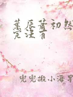 叶辰萧初然更新完没有