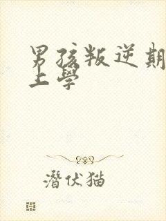 男孩叛逆期不想上学