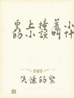 皇上撞着小公主的小说叫什么