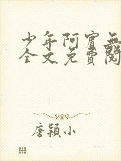 少年阿宾无删减全文免费阅读