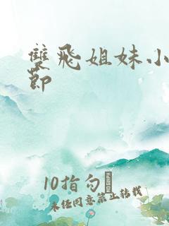 双飞姐妹小说章节