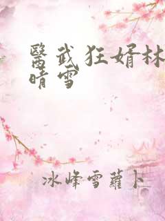 医武狂婿林枫苏晴雪