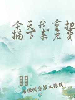 今天我会把戒指摘下来免费阅读小说