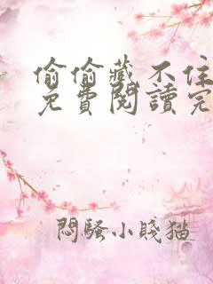 偷偷藏不住小说免费阅读完整版无弹窗笔趣阁