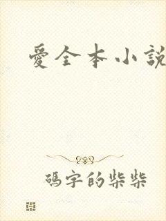 爱全本小说网