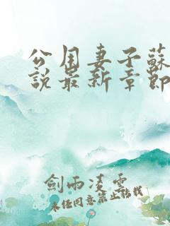 公用妻子苏晴小说最新章节更新时间