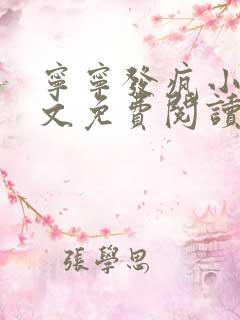宁宁发疯小说全文免费阅读