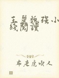 王丽魏强小说在线阅读