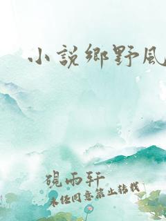小说乡野风流