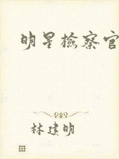 明星检察官小说