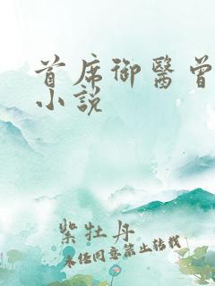 首席御医曾毅的小说