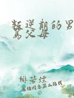 叛逆期的男孩打骂父母