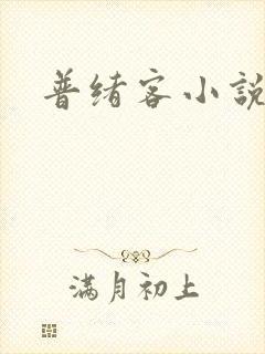 普绪客小说