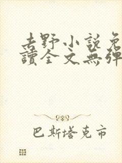 去野小说免费阅读全文无弹窗