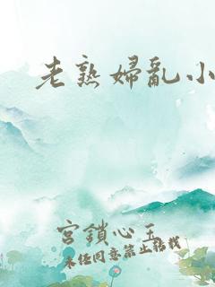 老熟妇乱小说