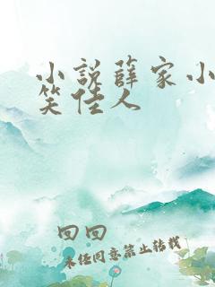 小说薛家小媳妇笑佳人