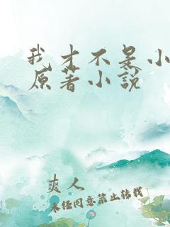 我才不是小可怜原著小说