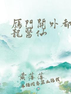 雁门关外都市狂龙医仙