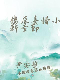 杨辰秦惜小说最新章节