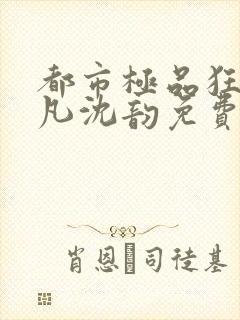 都市极品狂兵叶凡沈韵免费阅读