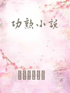 功勋小说
