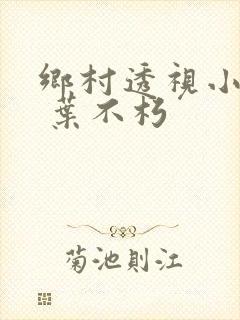乡村透视小仙医 叶不朽
