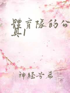 体育队的公用玩具1