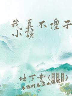 我真不傻子叶凡小说