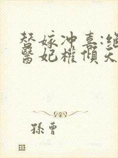 替嫁冲喜:绝世医妃权倾天下