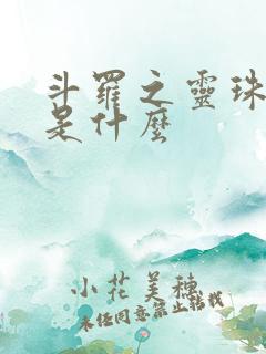 斗罗之灵珠神剑是什么