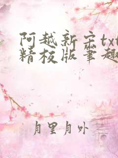 阿越新宋txt精校版笔趣阁