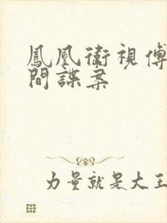 凤凰卫视傅晓田间谍案