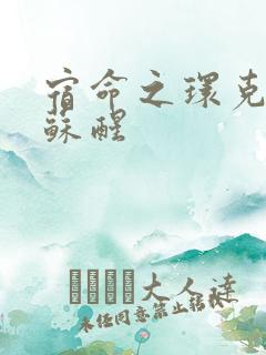 宿命之环克莱恩苏醒