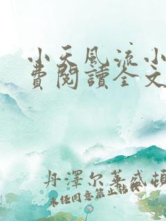 小天风流小说免费阅读全文最新章节