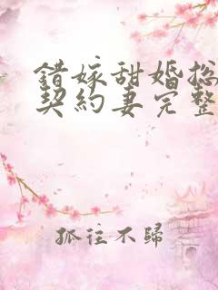 错嫁甜婚总裁的契约妻完整版