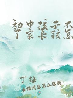 初中孩子不上学了家长该怎么办