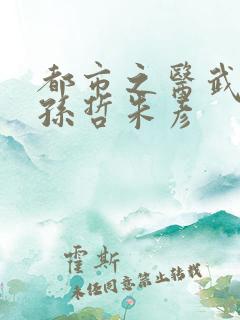 都市之医武风流孙哲朱彦