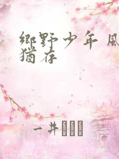 乡野少年 风度犹存
