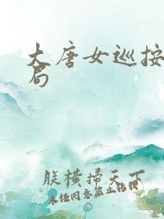 大唐女巡按大结局
